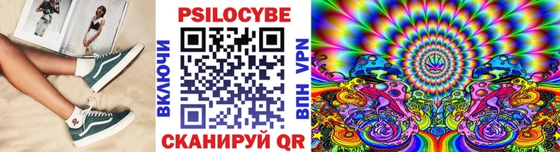 Галлюциногенные грибы Psilocybe  Правдинск 