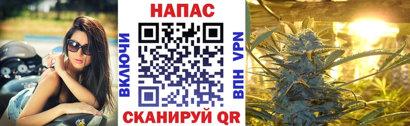 купить закладку  ОМГ ОМГ ССЫЛКА  Каннабис ГИДРОПОН  Правдинск 
